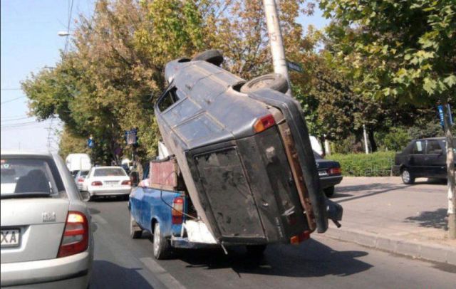 Daily Picdump