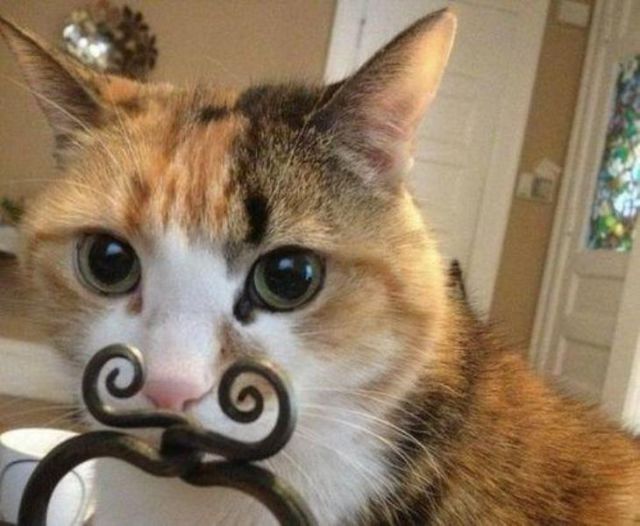 Photos That Have Some Fun with Angles