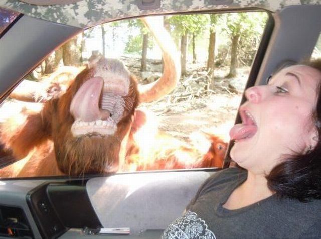 Morning Picdump