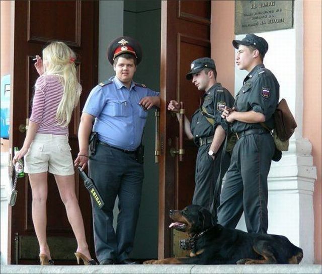 Morning Picdump