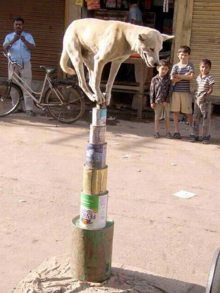 Content Image