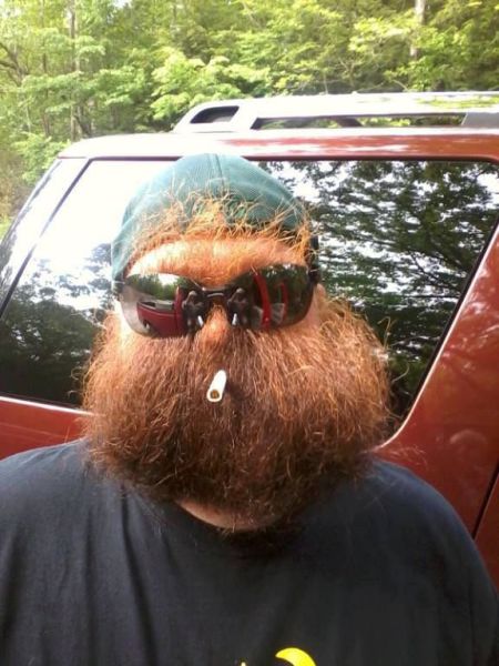 Morning Picdump