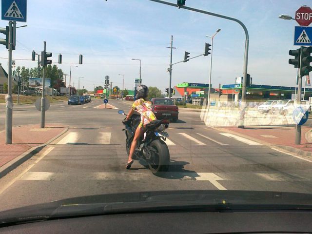 Daily Picdump