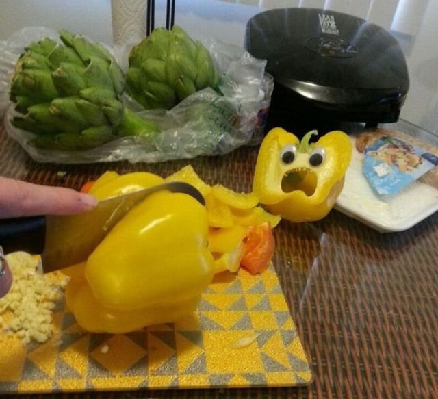 Daily Picdump