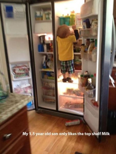 Daily Picdump