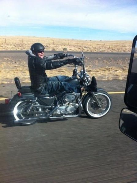 Daily Picdump