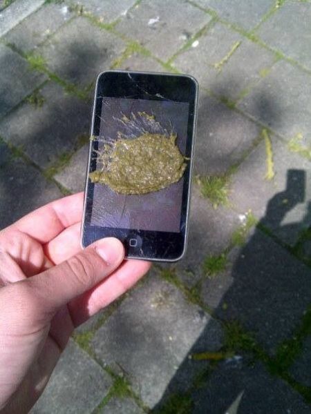 Morning Picdump