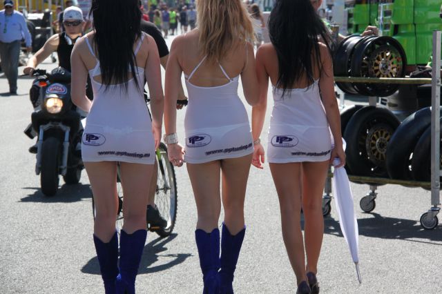 The Beautiful Babes of the City Streets
