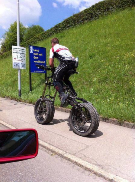 Daily Picdump