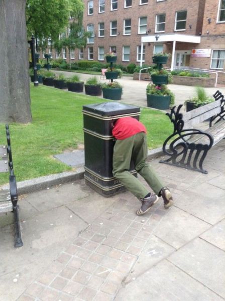 Daily Picdump