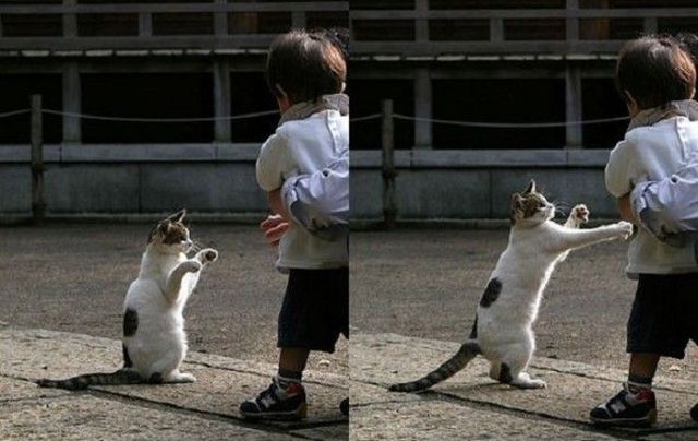 Daily Picdump