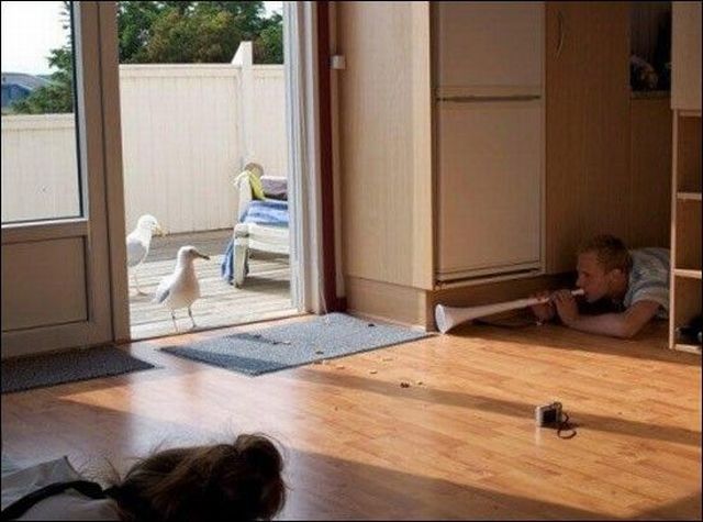 Daily Picdump