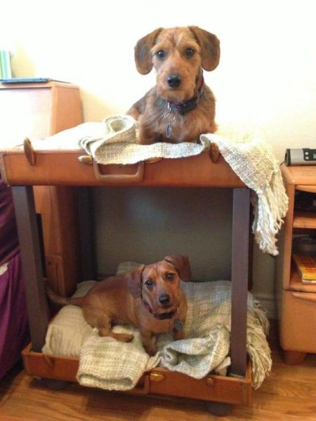 Morning Picdump