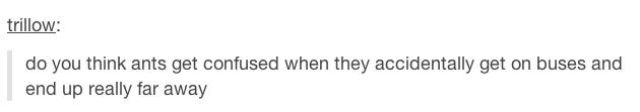 A Touch of Tumblr Philosophising…