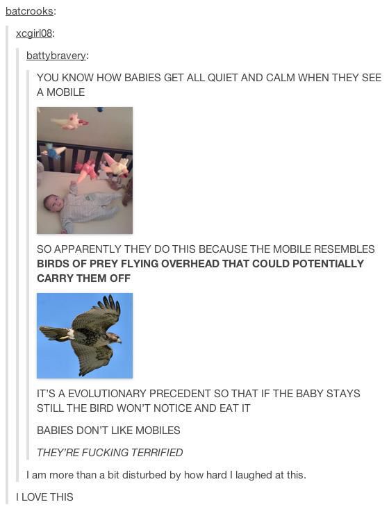 A Touch of Tumblr Philosophising…