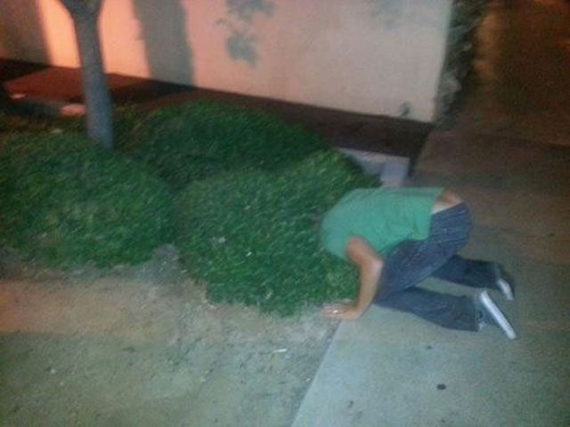 Everything’s Fine until Someone Gets Drunk