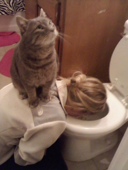 Everything’s Fine until Someone Gets Drunk