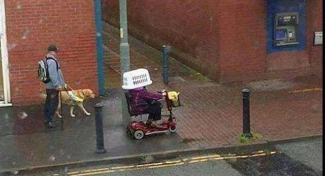 Content Image
