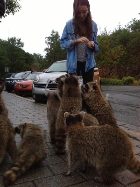 Content Image