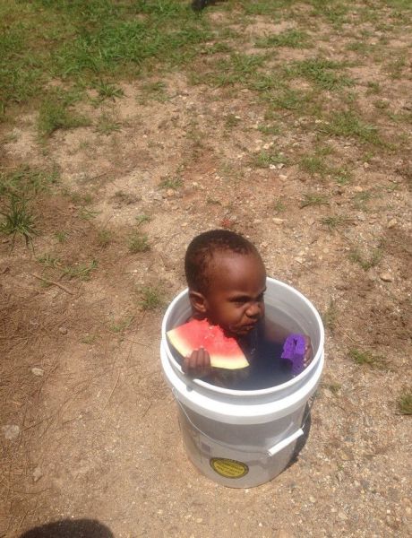 Morning Picdump