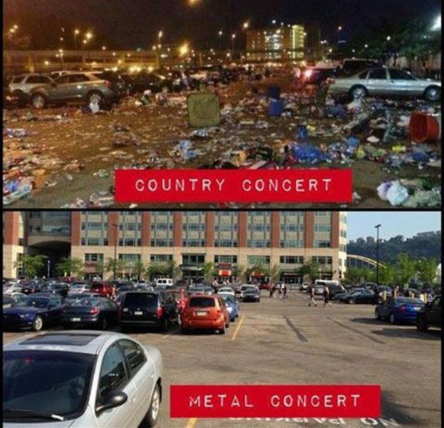 Morning Picdump