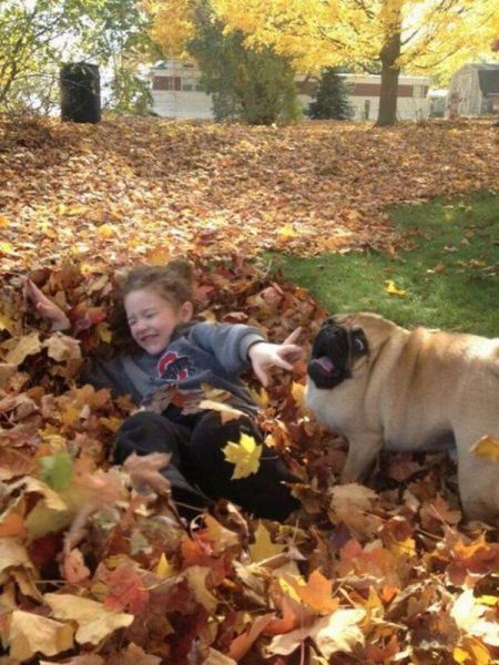 Content Image