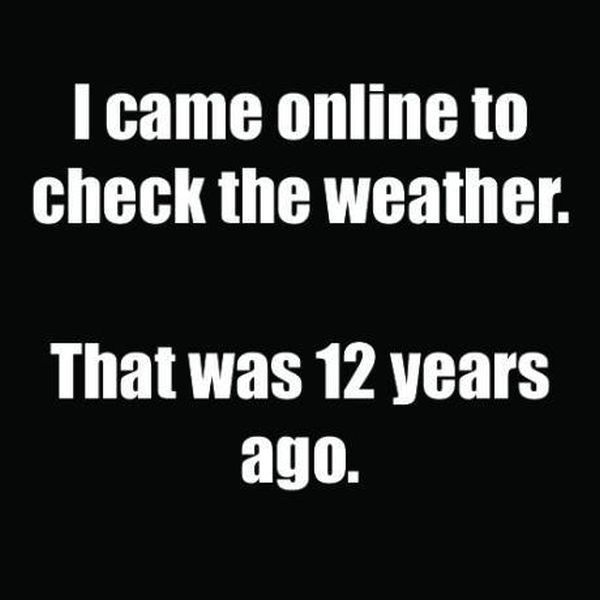 Morning Picdump