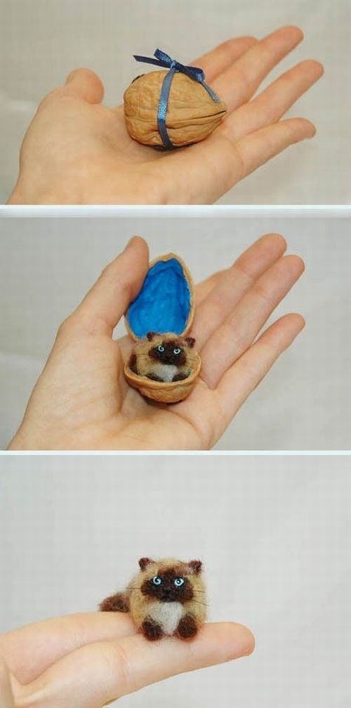 Content Image