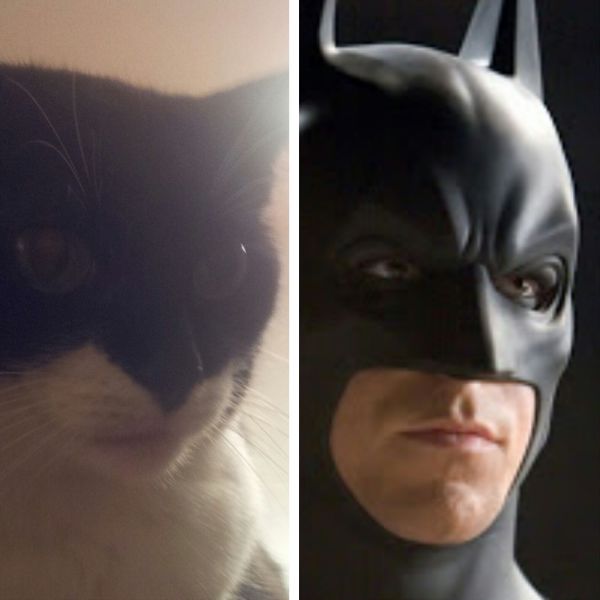 Morning Picdump