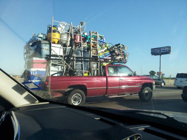 Morning Picdump