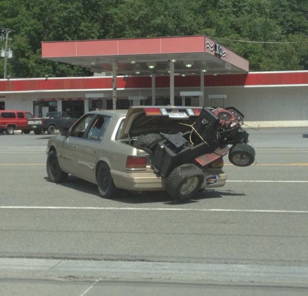 Morning Picdump