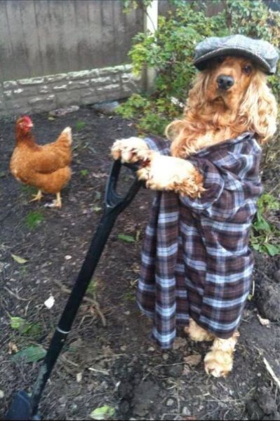 Morning Picdump