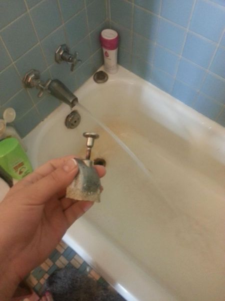 Content Image