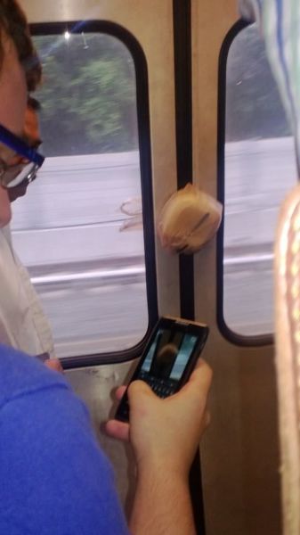 Content Image