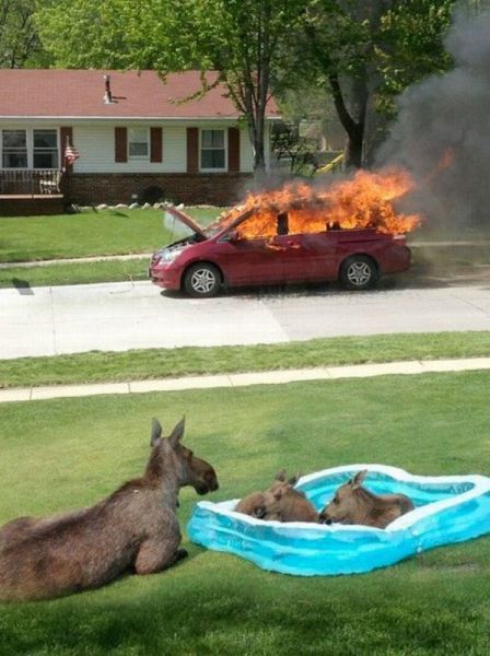 Morning Picdump