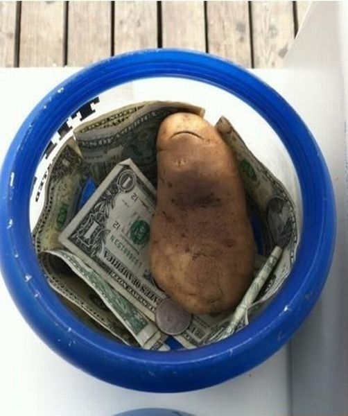 Content Image