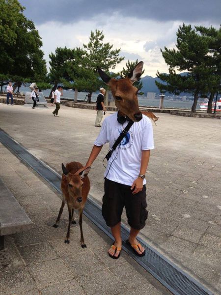 Morning Picdump