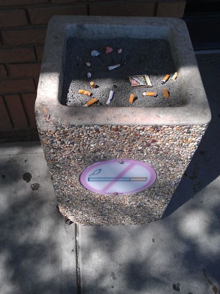 Morning Picdump
