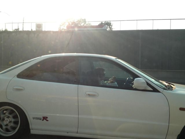 Morning Picdump