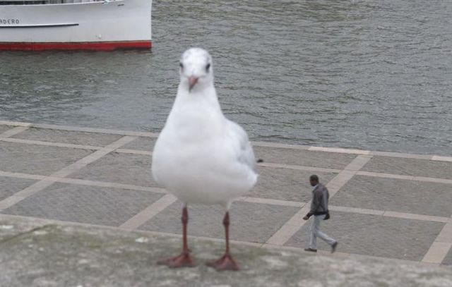 Morning Picdump