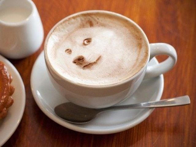 Morning Picdump
