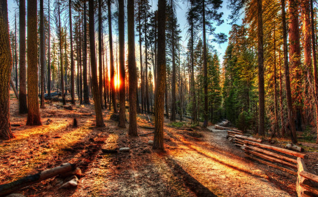 The Amazing Natural Wonders of California, USA