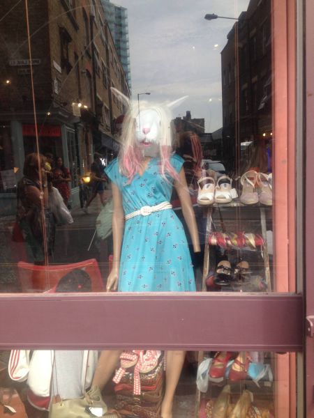 Morning Picdump