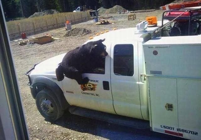 Morning Picdump