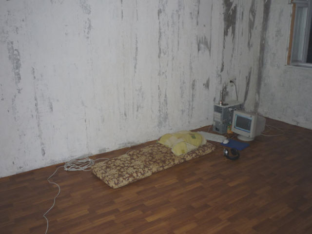 Video Gamers Who Live in a Pigsty