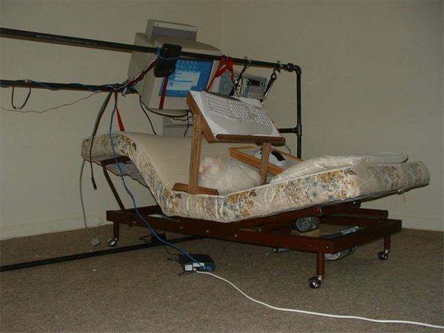 Video Gamers Who Live in a Pigsty