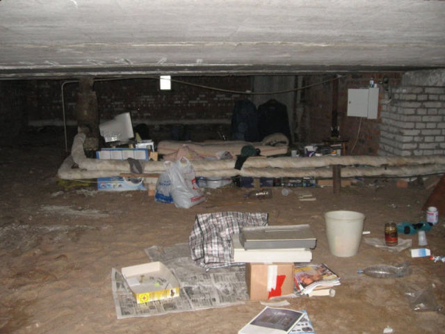 Video Gamers Who Live in a Pigsty