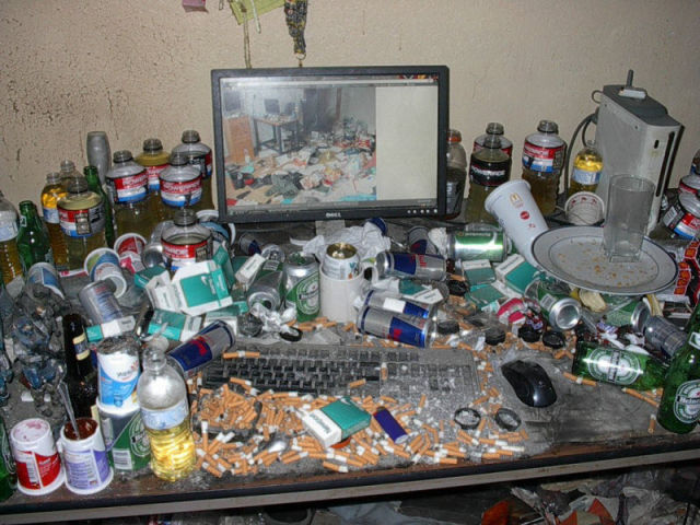 Video Gamers Who Live in a Pigsty