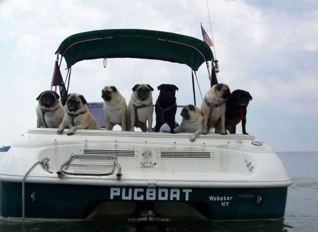 Morning Picdump