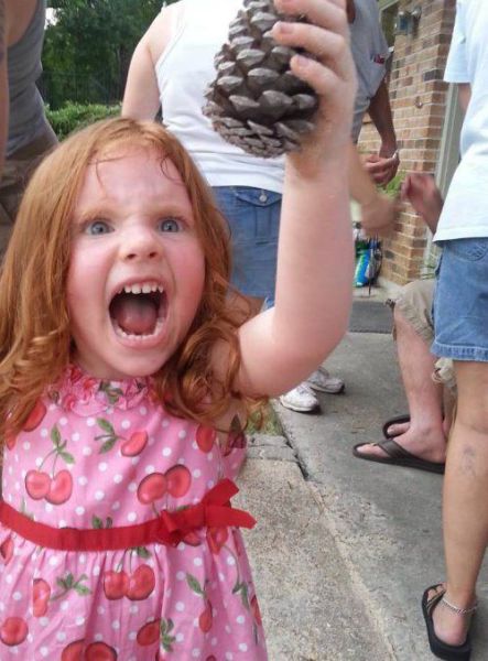 Morning Picdump
